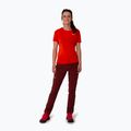 Дамски панталони за трекинг Salewa Pedroc 4 DST burgundy 00-0000028594 3