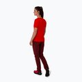 Дамски панталони за трекинг Salewa Pedroc 4 DST burgundy 00-0000028594 4
