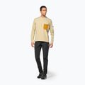 Мъжки суитшърт Salewa Fanes Dry Pullover quicksand 2