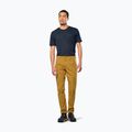 Мъжки панталони за трекинг Salewa Fanes Light golden brown 2