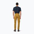 Мъжки панталони за трекинг Salewa Fanes Light golden brown 3
