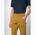 Мъжки панталони за трекинг Salewa Fanes Light golden brown 4