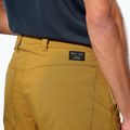 Мъжки панталони за трекинг Salewa Fanes Light golden brown 5