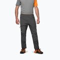 Мъжки панталони за трекинг Salewa Nxt Dst onyx