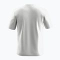 Мъжка тениска Salewa Eagle Geometric T-shirt optical white 2
