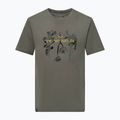 Мъжка тениска Salewa Eagle Nature faded green
