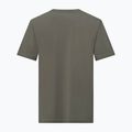 Мъжка тениска Salewa Eagle Nature faded green 2