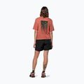 Дамска тениска Salewa Eagle Sunset Loose etruscan red 3