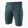 Мъжки шорти за трекинг DYNAFIT Transalper Light Dynastretch cinder/0910 4