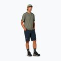 Мъжка тениска Salewa Pedroc Dry Light faded green 2