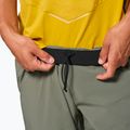 Мъжки панталони за трекинг Salewa Pedroc 3 DST Light faded green 4