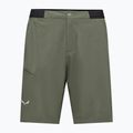 Мъжки шорти за трекинг Salewa Pedroc 4 DST Cargo faded green