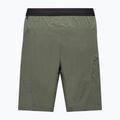 Мъжки шорти за трекинг Salewa Pedroc 4 DST Cargo faded green 2