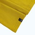Мъжка тениска Salewa Eagle Geometric olive oil 4