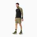 Мъжки шорти за бягане DYNAFIT Alpine Pro 2IN1 military green 2