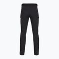 Мъжки панталони за трекинг Salewa Pedroc 5 DST black out 2
