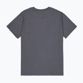 Alpha Industries мъжка тениска Hawaii vintage grey 8