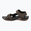 Jack Wolfskin Lakewood Cruise кафяви мъжки сандали за трекинг 4019011 12