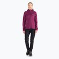 Jack Wolfskin дамски суитшърт Hydro Grid Fleece розов 1709911 2