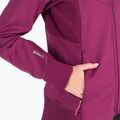 Jack Wolfskin дамски суитшърт Hydro Grid Fleece розов 1709911 6