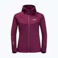 Jack Wolfskin дамски суитшърт Hydro Grid Fleece розов 1709911 7