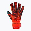 Reusch Attrakt Freegel Gold Evolution Cut вратарски ръкавици червени 5370135-3333 4