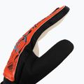 Reusch Attrakt Starter Твърди вратарски ръкавици в червено 5370514-3334 3