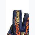 Вратарски ръкавици Reusch Attrakt Gold X Evolution premium blue/gold/black 5