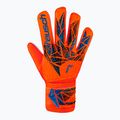 Вратарски ръкавици Reusch Attrakt Starter Solid bright red/future blue 2
