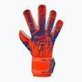 Детски вратарски ръкавици Reusch Attrakt Freegel Silver Junior hyper orng/elec blue 2