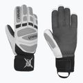 Мъжки скиорски ръкавици Reusch Worldcup Warrior DG white/glacier