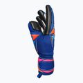 Вратарски ръкавици Reusch Attrakt Infinity Evolution NC sharp blue/shocking orange/black 4