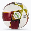 ERIMA Hybrid Training 2.0 red/lime футбол размер 4 2