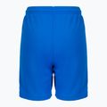 Детски футболни шорти PUMA Teamliga тъмносини 70493102 2