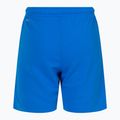 Детски футболни шорти PUMA Teamrise сини 70494302 2