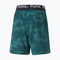 Мъжки тренировъчни шорти PUMA Train Off Season AOP Woven 7" green 522359 24 2