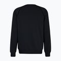 Мъжки потник FILA Landin Raglan Crew Sweatshirt black 6