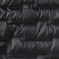 Мъжко пухено яке Jack Wolfskin Passamani Down phantom 20