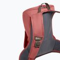 Дамска градска раница Jack Wolfskin Waimea 15 l mineral red 6