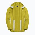 Мъжки суитшърт за трекинг Jack Wolfskin Peak District Hooded Full Zip chartreuse 9