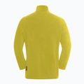 Мъжки поларен суичър Jack Wolfskin Taunus Fz chartreuse 9