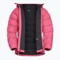 Дамско пухено яке Jack Wolfskin Ather Down Hoody bubblegum 9