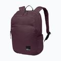 Градска раница Jack Wolfskin Terraview 20 л амарант 2