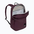 Градска раница Jack Wolfskin Terraview 20 л амарант 6