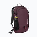 Раница Jack Wolfskin Velocity 20 л амарант 2