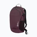 Раница Jack Wolfskin Velocity 20 л амарант 3