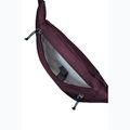 Саше колан Jack Wolfskin Konya Hipbag 2 л амарант 4