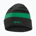 Детска зимна шапка Jack Wolfskin Stripy Knit в цвят шисто зелено/мистично