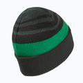Детска зимна шапка Jack Wolfskin Stripy Knit в цвят шисто зелено/мистично 2