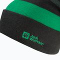 Детска зимна шапка Jack Wolfskin Stripy Knit в цвят шисто зелено/мистично 3